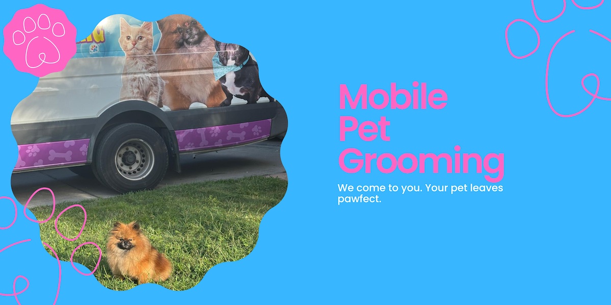 Dismevet | Mobile Pet Grooming at Your Doorstep - Dismevet Pet Grooming